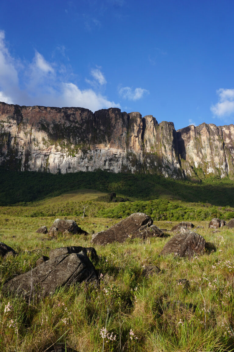 Monte Roraima - La Pared