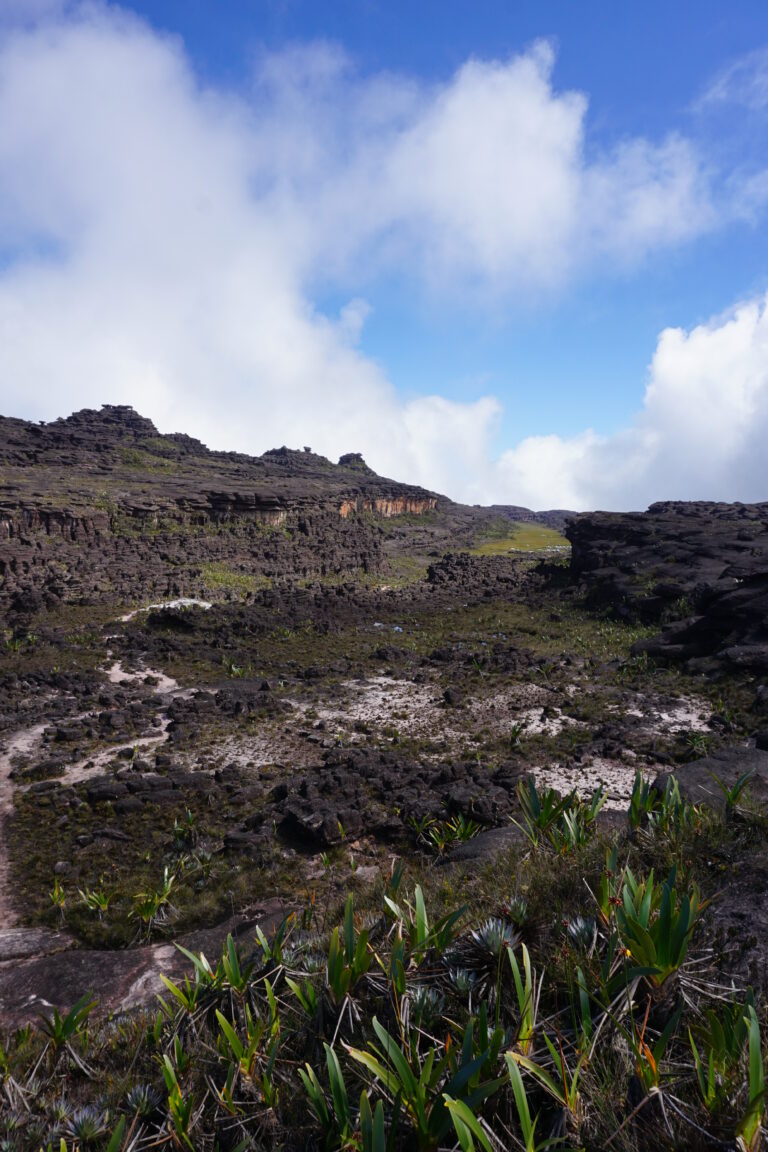 Roraima Tepuy