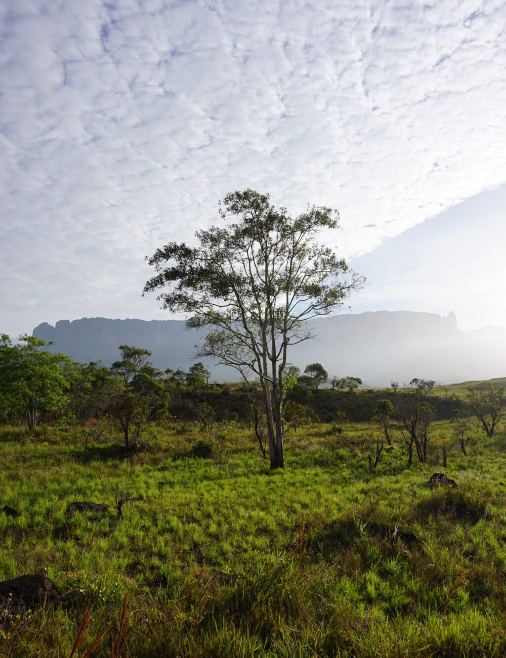 Monte Roraima