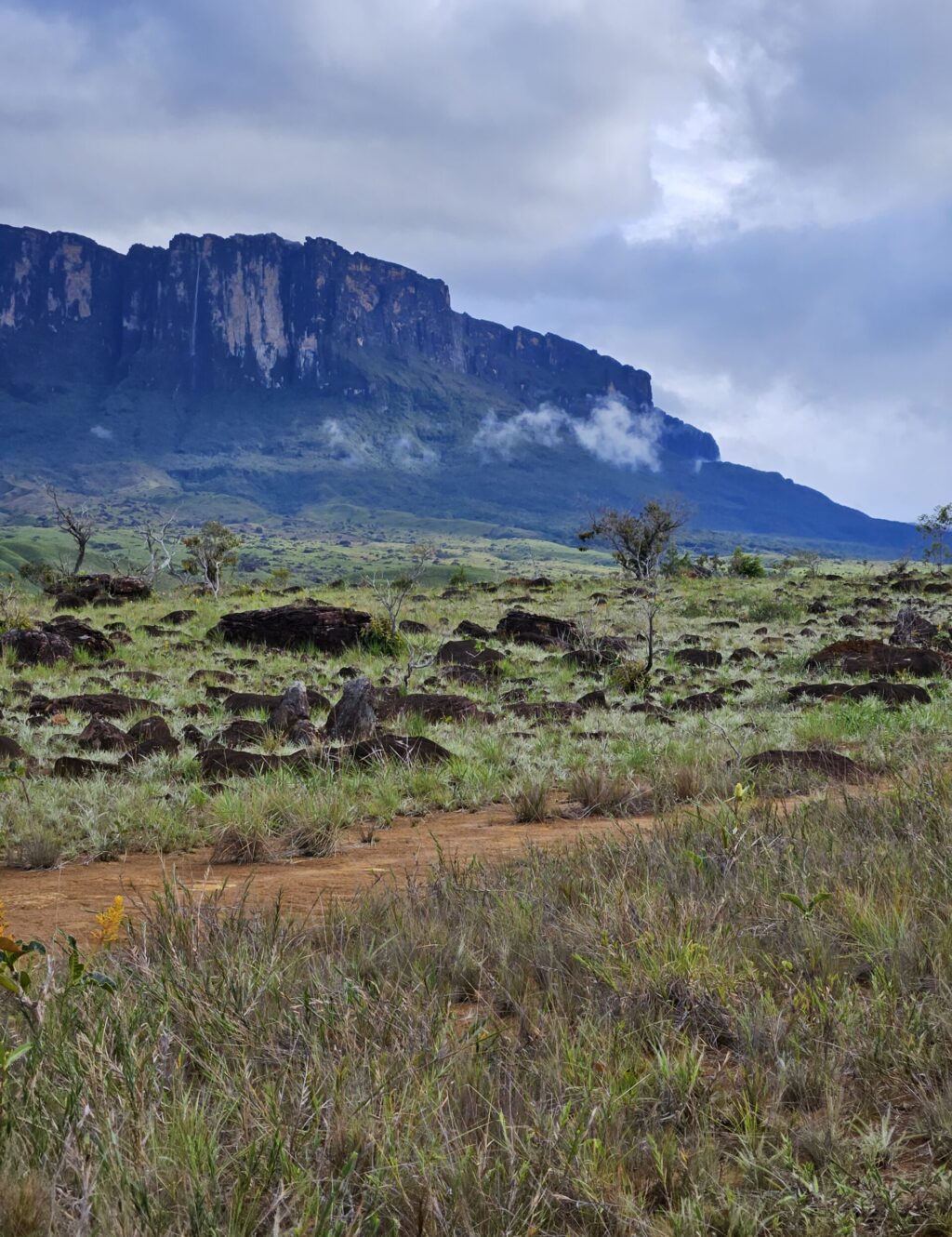 Monte Roraima