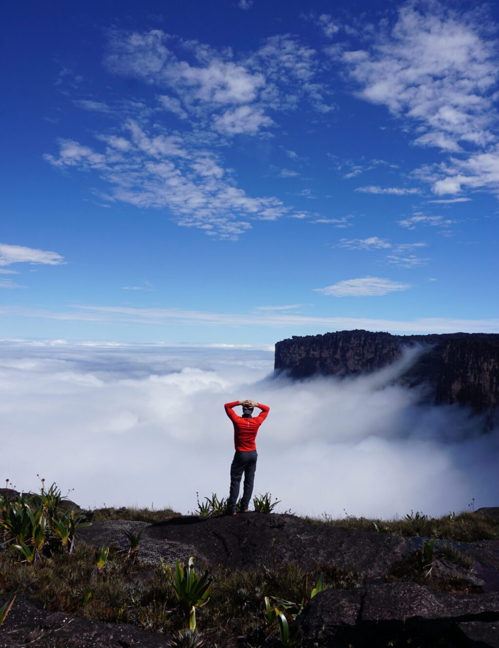 Fábrica de las nubes en Monte Roraima