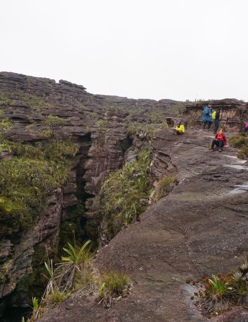 Monte Roraima - Grieta De Los Guácharos