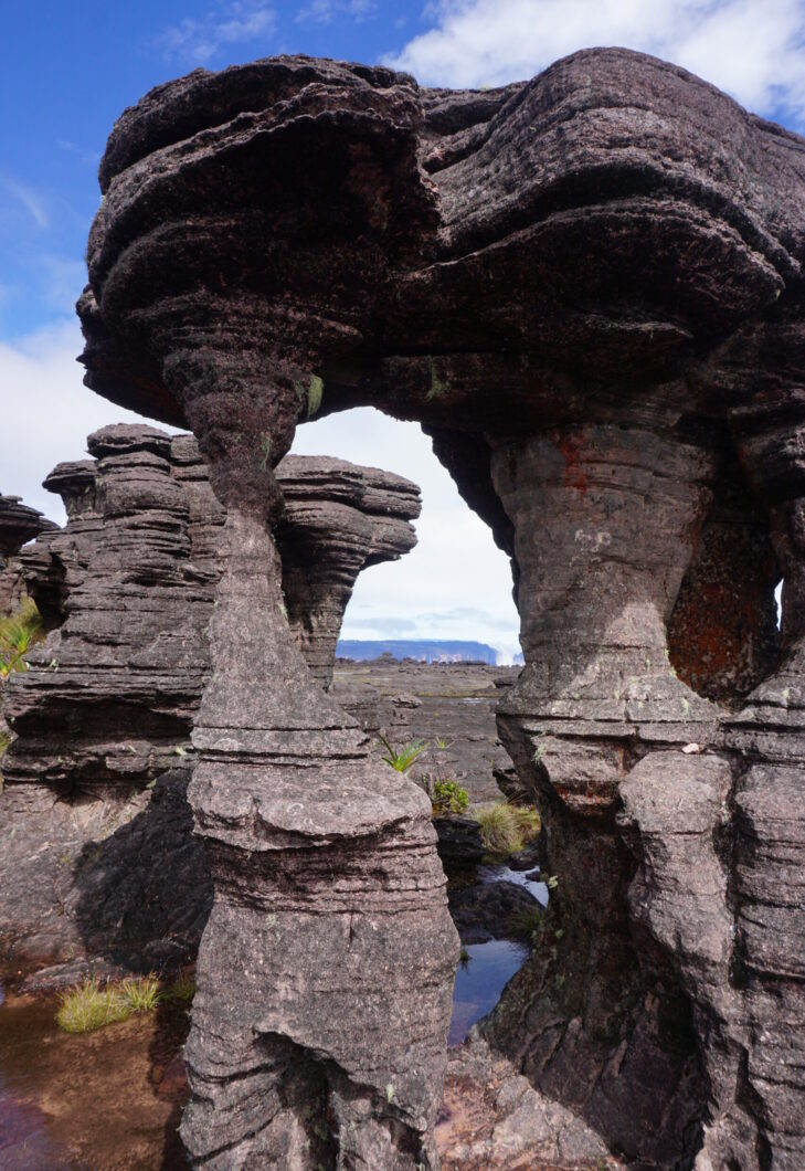 Roraima Tepuy - Formaciones