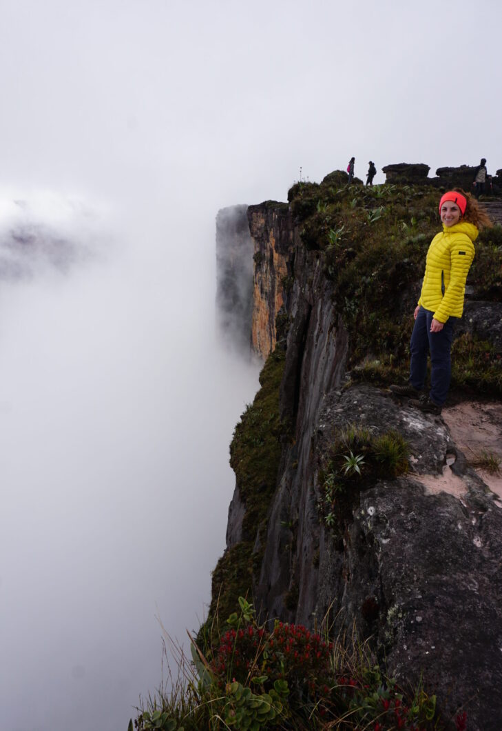 Roraima Tepuy - Ventana