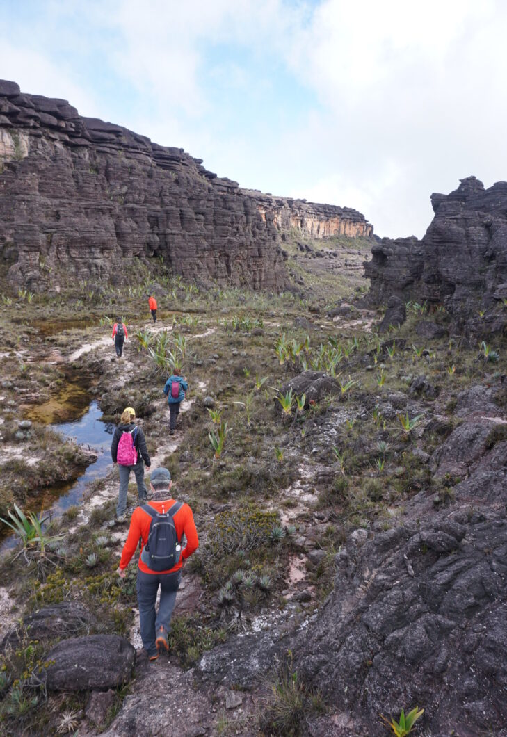 Roraima Tepuy - trekking